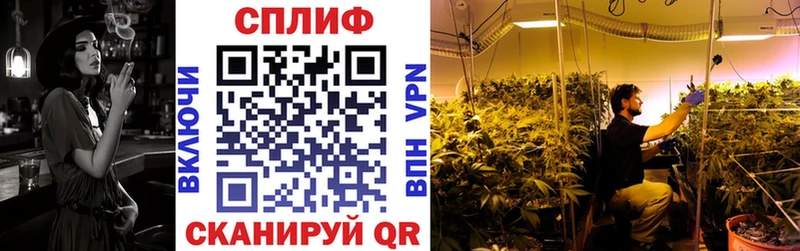 Бошки марихуана MAZAR  где найти наркотики  Россошь 